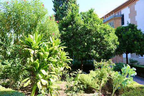 El Convento de Santa Paula (4): los jardines del compás de la iglesia.