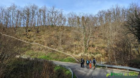 Desvío de la carretera