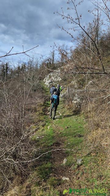 Camino a Llabayos desde Cerebián