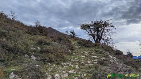 Saliendo de Llabayos a Linares