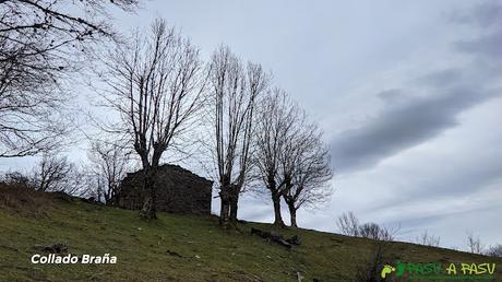 Collado Braña, Caso