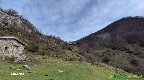 Majada Linares, Caso