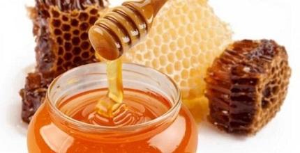 ChatGPT o el panal de rica miel