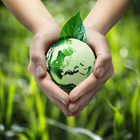 Pérdida de biodiversidad: ¿por qué es una preocupación y cuáles son sus causas? (1)