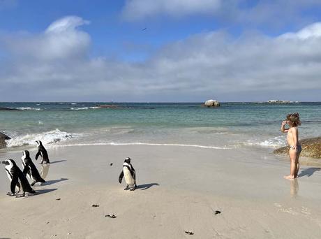 Una niña jugando en la playa con pingüinos en Simon's Town Sudáfrica