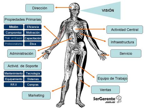 Anatomía de una empresa. ¿Cómo diagnosticar enfermedades? Anatomía de una empresa. ¿Cómo diagnosticar enfermedades?