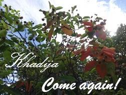 BROWNIES AUX CANNEBERGES/ CRANBERRY BROWNIES / BROWNIES CON ARÁNDANOS /براونيز بالتوت البري المجفف