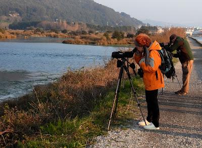 AVES Y EDUCACIÓN AMBIENTAL EN DOS RUTAS GUIADAS