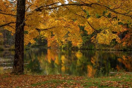 15 mejores cosas para hacer en Spencer (MA)