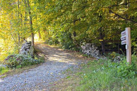 16 cosas mejor valoradas para hacer en Brattleboro, VT