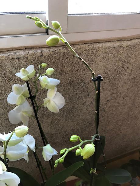 💬Entre Cafés nos ponemos al día!!💬