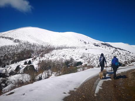 Braña Vicenturo y Pico Sobrepena desde Marabio  (raquetas)