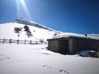 Braña Vicenturo y Pico Sobrepena desde Marabio  (raquetas)