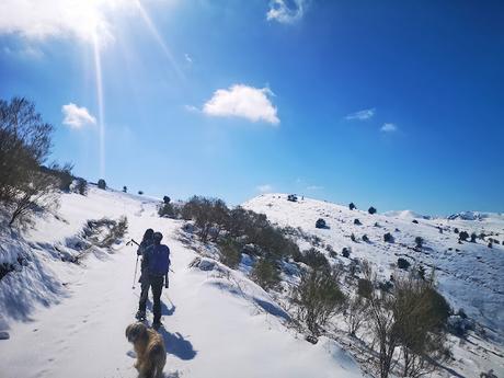 Braña Vicenturo y Pico Sobrepena desde Marabio  (raquetas)
