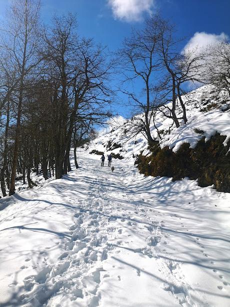 Braña Vicenturo y Pico Sobrepena desde Marabio  (raquetas)