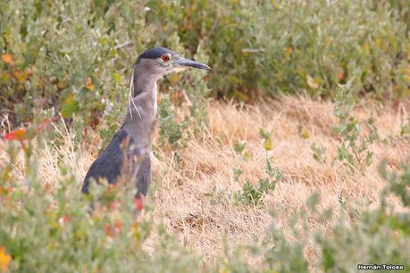 Puerto Deseado (febrero 2022)