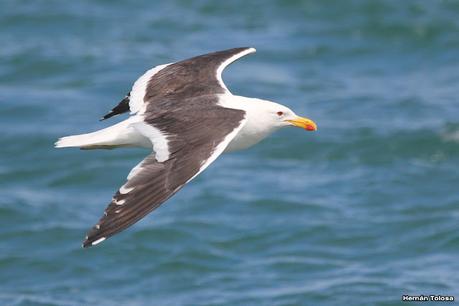 Puerto Deseado (febrero 2022)