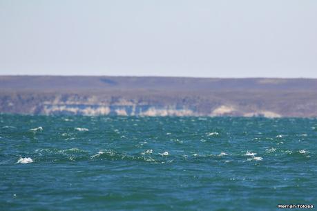 Puerto Deseado (febrero 2022)