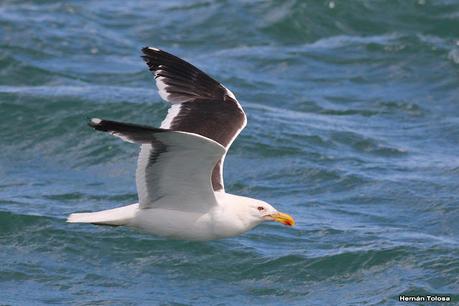 Puerto Deseado (febrero 2022)