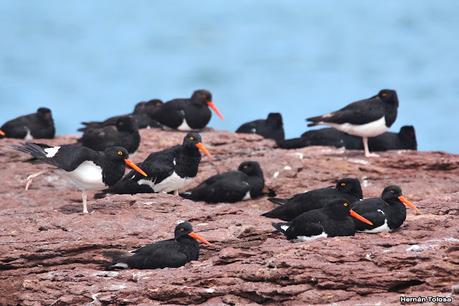 Puerto Deseado (febrero 2022)