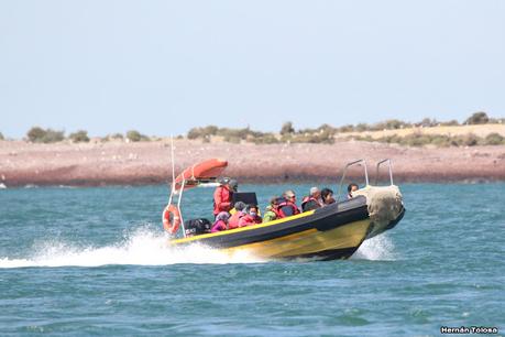 Puerto Deseado (febrero 2022)