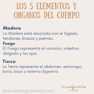 Los 5 Elementos y los órganos del cuerpo
