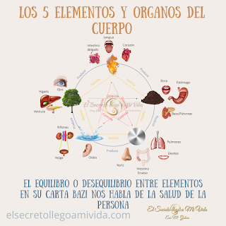 Los 5 Elementos y los órganos del cuerpo