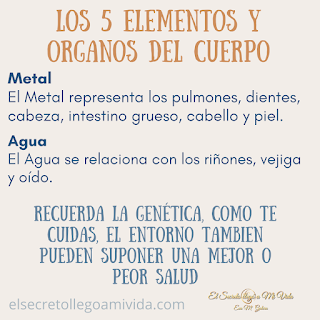 Los 5 Elementos y los órganos del cuerpo