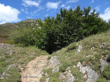 Felechosa-La Pena la Tabierna-El Picón la Mostayera-Cebarón