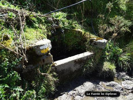 Felechosa-La Pena la Tabierna-El Picón la Mostayera-Cebarón