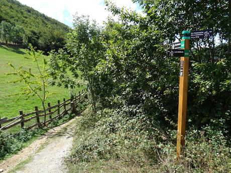Felechosa-La Pena la Tabierna-El Picón la Mostayera-Cebarón