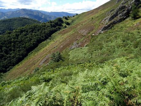 Felechosa-La Pena la Tabierna-El Picón la Mostayera-Cebarón