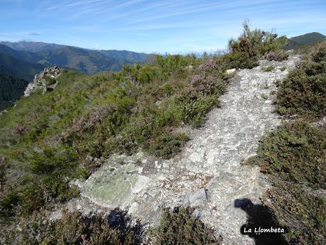 Felechosa-La Pena la Tabierna-El Picón la Mostayera-Cebarón