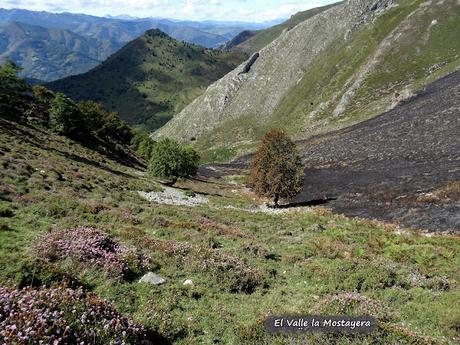 Felechosa-La Pena la Tabierna-El Picón la Mostayera-Cebarón