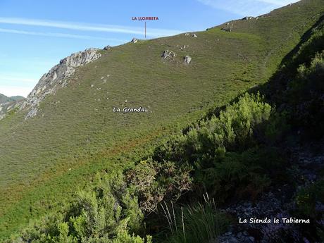 Felechosa-La Pena la Tabierna-El Picón la Mostayera-Cebarón