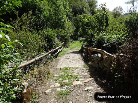 Felechosa-La Pena la Tabierna-El Picón la Mostayera-Cebarón