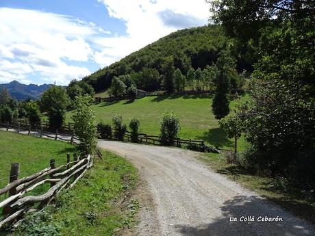 Felechosa-La Pena la Tabierna-El Picón la Mostayera-Cebarón