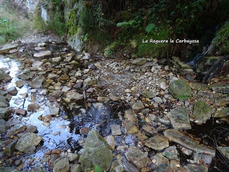Felechosa-La Pena la Tabierna-El Picón la Mostayera-Cebarón