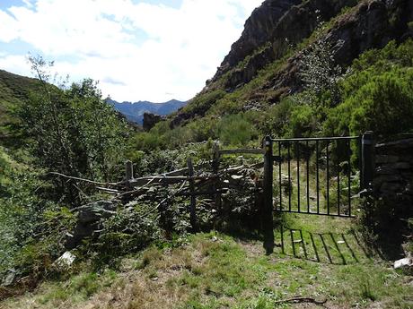 Felechosa-La Pena la Tabierna-El Picón la Mostayera-Cebarón