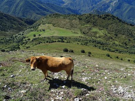 Felechosa-La Pena la Tabierna-El Picón la Mostayera-Cebarón