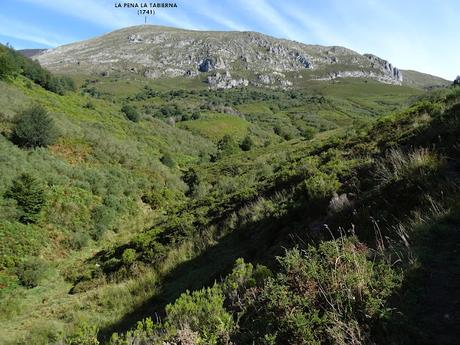 Felechosa-La Pena la Tabierna-El Picón la Mostayera-Cebarón