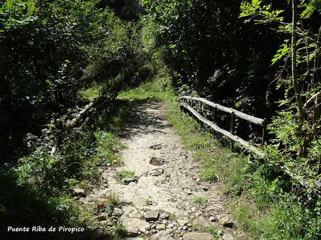 Felechosa-La Pena la Tabierna-El Picón la Mostayera-Cebarón