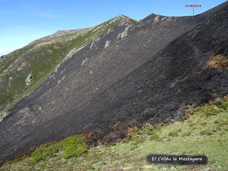 Felechosa-La Pena la Tabierna-El Picón la Mostayera-Cebarón