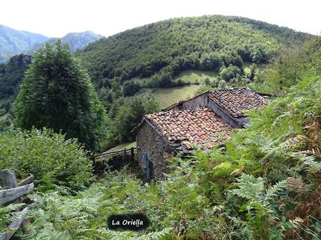 Felechosa-La Pena la Tabierna-El Picón la Mostayera-Cebarón
