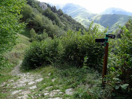 Felechosa-La Pena la Tabierna-El Picón la Mostayera-Cebarón
