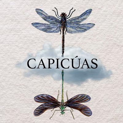 Portada y contraportada de Capicúas