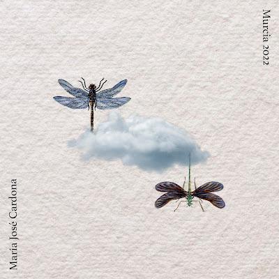 Portada y contraportada de Capicúas