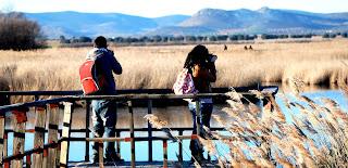 TRANSFORMAR EL TURISMO MIDIENDO SU SOSTENIBILIDAD