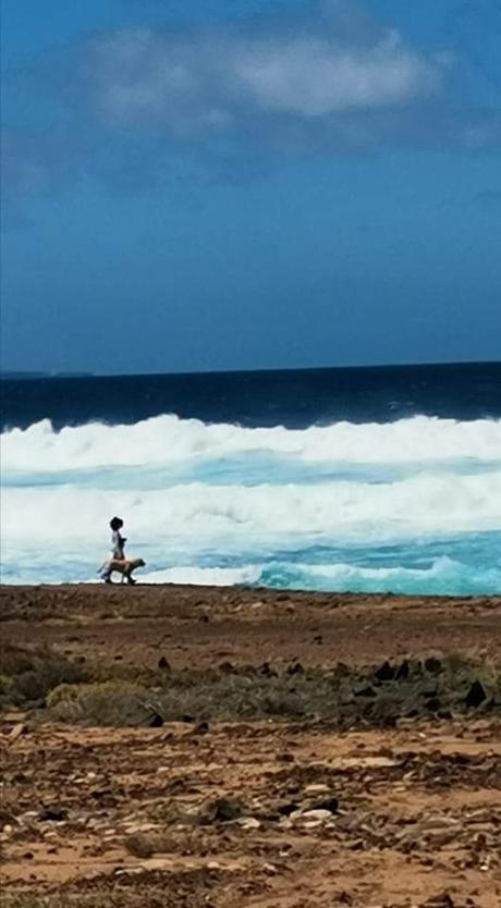 CAMINAR ES PONER EN ESCENA LA ILUSIÓN DE AUTONOMÍA