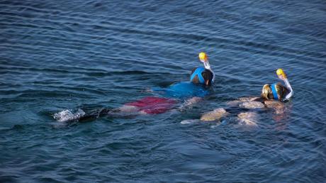 Islas Galápagos, lo que Charles Darwin no te dijo Islas Galápagos, lo que Charles Darwin no te dijo